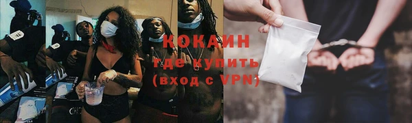 мяу мяу мука Абаза