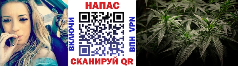 ссылка на мегу как войти  Полярный  МАРИХУАНА планчик  купить  